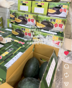 블랙 망고 수박 3통 1박스 ★데메토리인스타좋아요★>>> 12,000원