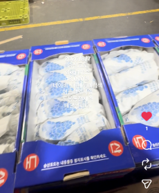 송산 포도 3kg 1박스 ★데메토리인스타좋아요★>>> 18,000원